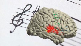 Cervello-musica