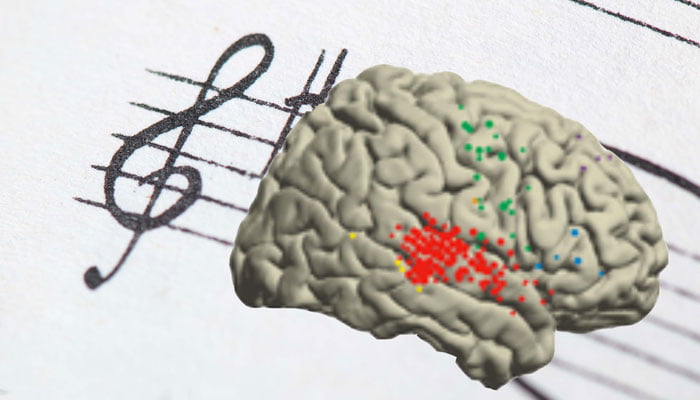 cervello-musica